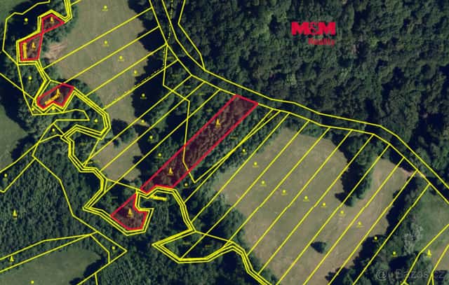 Prodej lesa, 3765 m², Ruprechtov, okres Vyškov