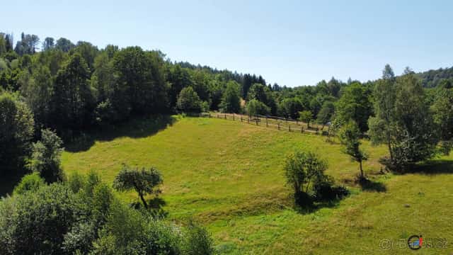 Prodej pozemku 4 589 m² - Olešnice v Orlických horách, okres Rychnov nad Kněžnou