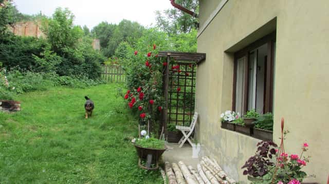 Prodám dům/stavební pozemek o velikosti 7949 m2, okres Jeseník