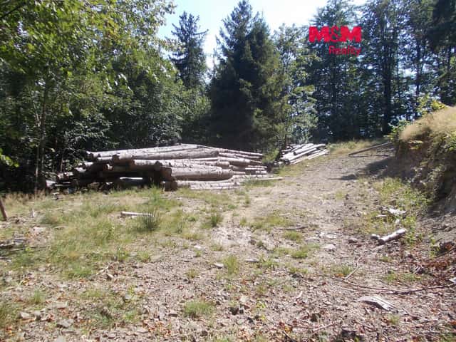 Prodej chaty, 36 m², Pstruží, okres Frýdek-Místek