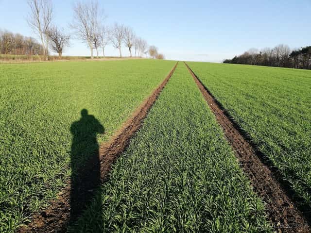 pronájem pole a louky, okres Nový Jičín