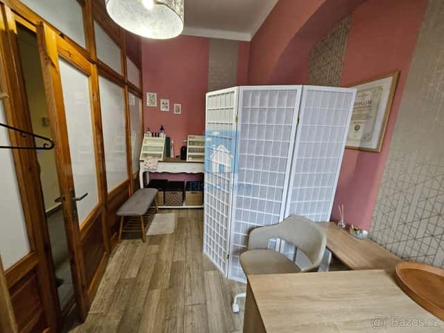 Pronájem sdíleného prostoru v centru Plzně, Sady 5. května,, okres Plzeň-město