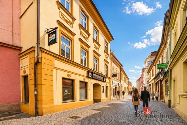Prodej, komerční/činžovní dům, 499 m2, Novobranská 86/16, Li, okres Litoměřice