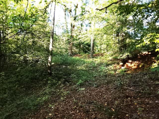 Pozemek ok Louny, okres Louny