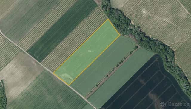 Zemědělská půda, prodej, Želkovice, Louny, okres Louny