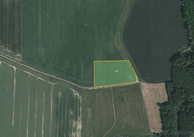 Zemědělská půda, prodej, Myslkovice, Tábor, okres Tábor