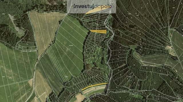 Prodej lesa 4 290 m², Letovice - Slatinka, okres Blansko