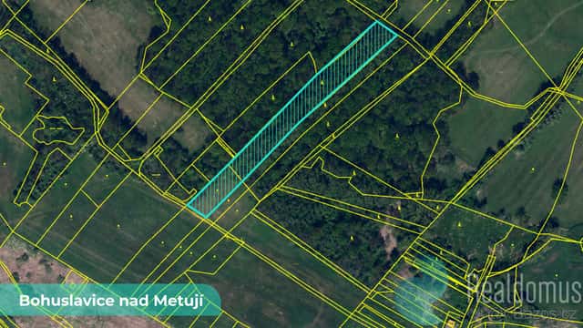 Soubor pozemků 43749 m² – Bohuslavice nad Metují, okres Nách, okres Náchod