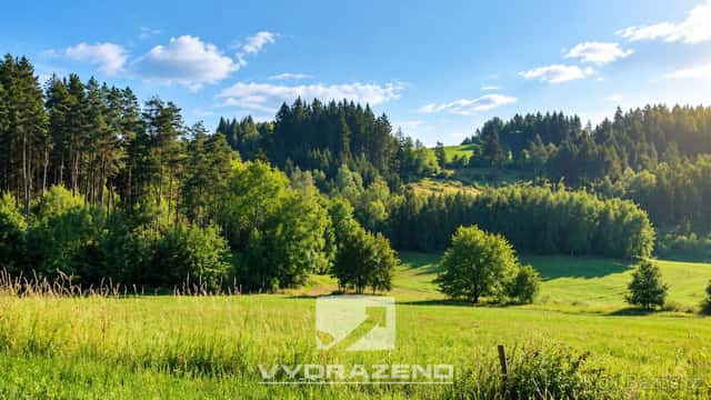 Pozemek (3946 m2) - Levínská Olešnice, Semily, okres Semily