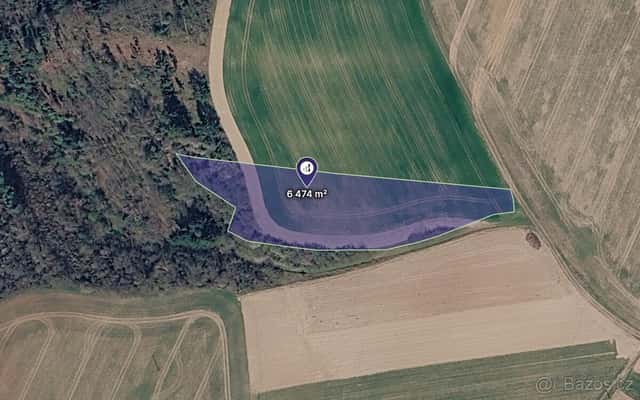 Prodej pole v k.ú. Třebětín u Letovic, okres Blansko