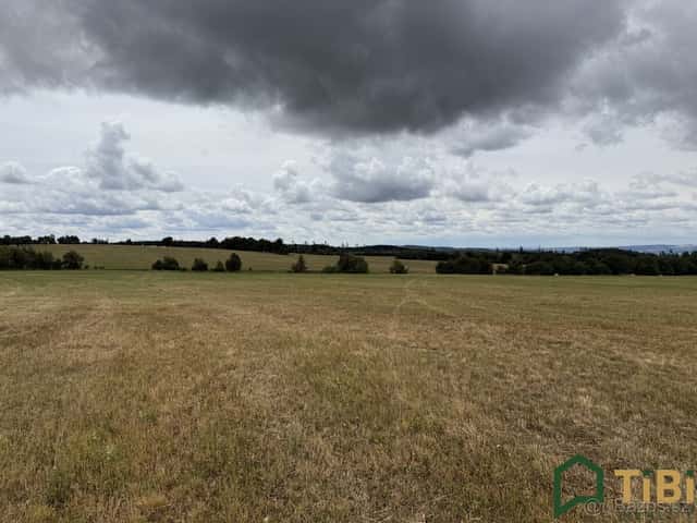 Prodej pole 2 000 m², Suchý, ev.č. 00302, okres Blansko