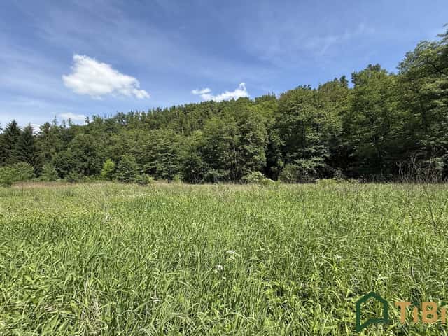 Prodej louky 3 200 m², Bílovice nad Svitavou, ev.č. 00290, Brno venkov, okres Brno-venkov