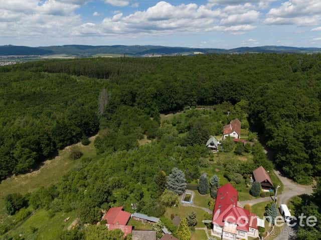 Prodej louky 3131 m2, Příluky u Zlína, okres Zlín