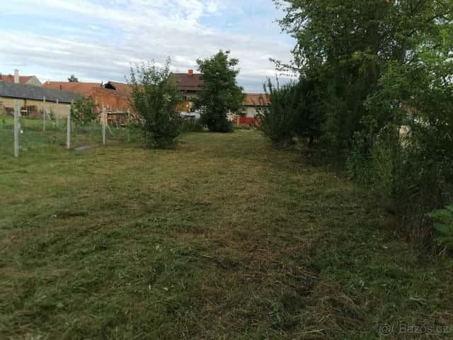 Pronájem zahrady Těšice, okres Prostějov