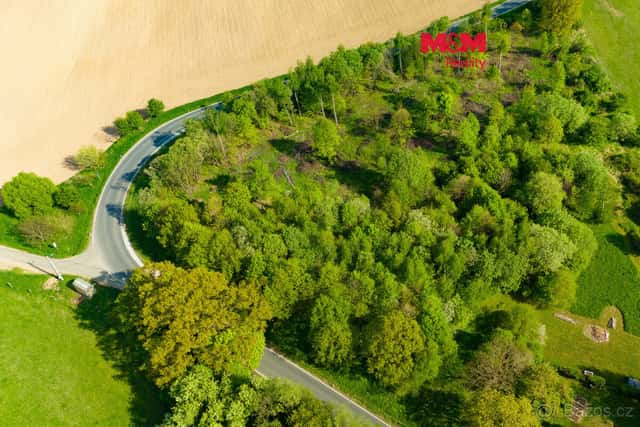 Prodej louky, 4228 m², Mikulovice, okres Jeseník
