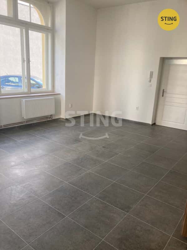 Pronájem bytu/komerčních prostor 1+1, 65m2, u Zlaté , 136242, okres Prostějov