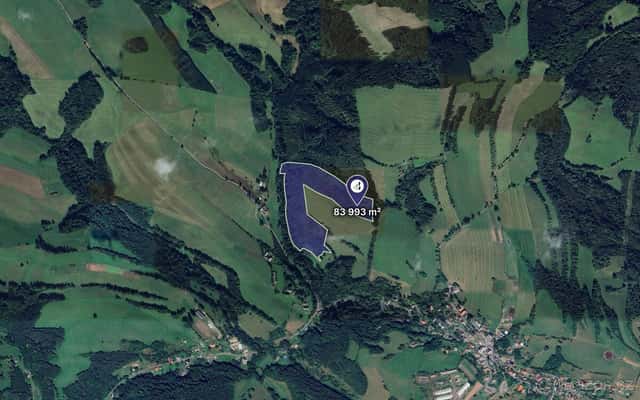 Prodej lesa 97 502 m², Cotkytle, ev.č. 2025-09-01-3, okres Ústí nad Orlicí
