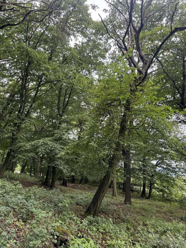 Prodej pozemků k.ú. Bílina, okres Teplice