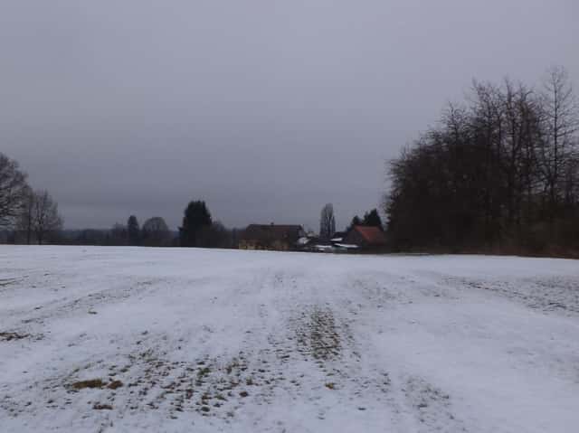 1,56 ha Horní Ves, Mariánské Lázně Cheb, okres Cheb