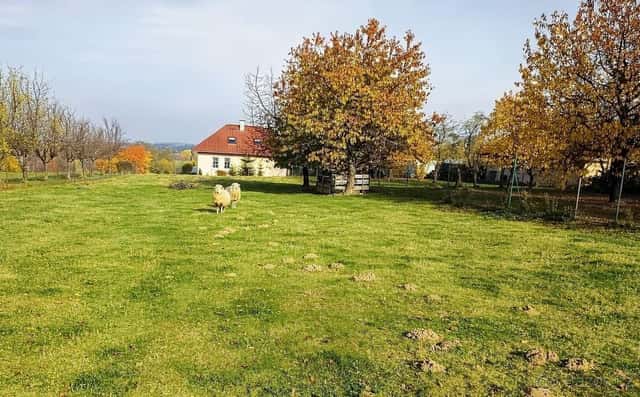 Stavební parcela, Lhenice na Prachaticku 20 min.ČB, okres Prachatice