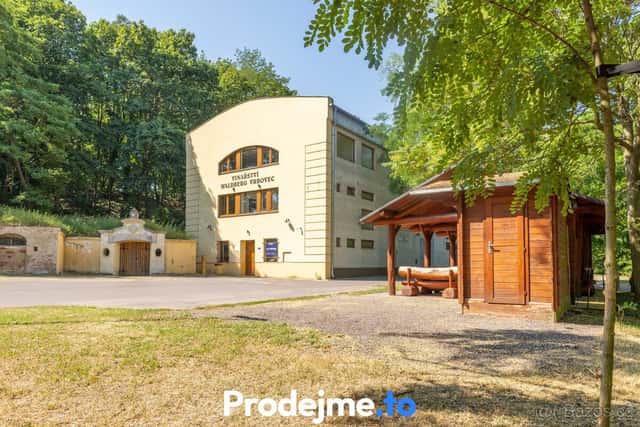 Prodej vinařského areálu + historický sklep z roku 1770 - Ch, okres Znojmo