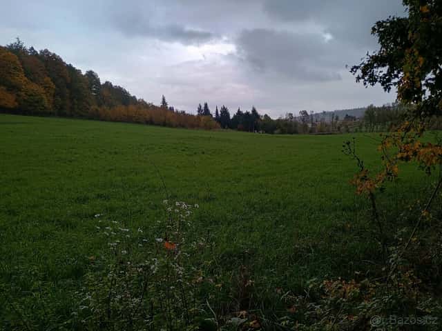Mufloní obora a další pozemky, Brno venkov, okres Brno-venkov