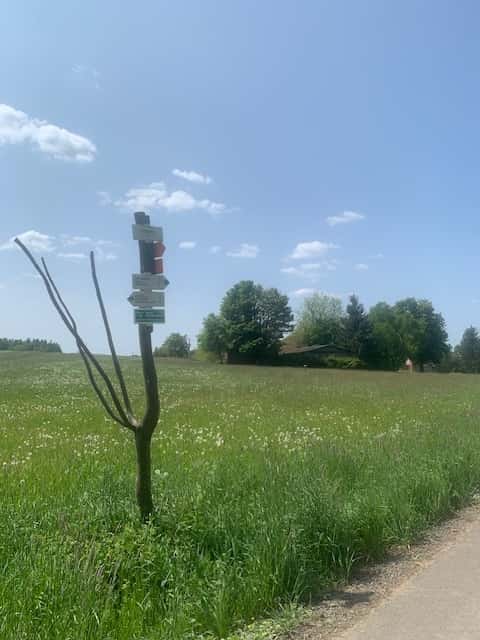 Prodej pozemku, okres Ústí nad Orlicí