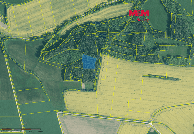 Prodej lesa, 4545 m², Třešovice, okres Strakonice