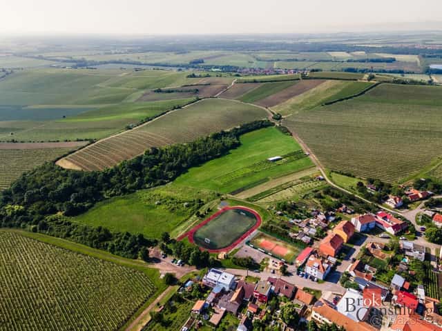 Prodej, pozemky/vinice/sady, 256256 m2, Zaječí, Břeclav [ID, okres Břeclav