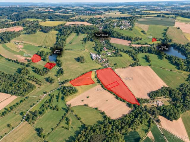 Zemědělská půda, prodej, Dívčí Hrad, Bruntál, okres Bruntál