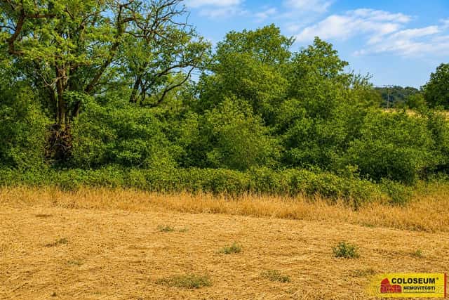 Dyje, orná půda, 8 295 m² - pozemek, ev.č. V3419Z006, okres Znojmo