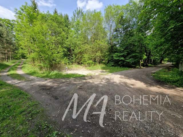 Prodej pozemků 15.564 m2., vedených jako ostatní plocha, jin, okres Nymburk