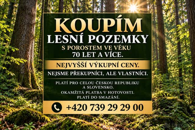 Rádi bychom pořídili vzrostlý les, okres Vsetín