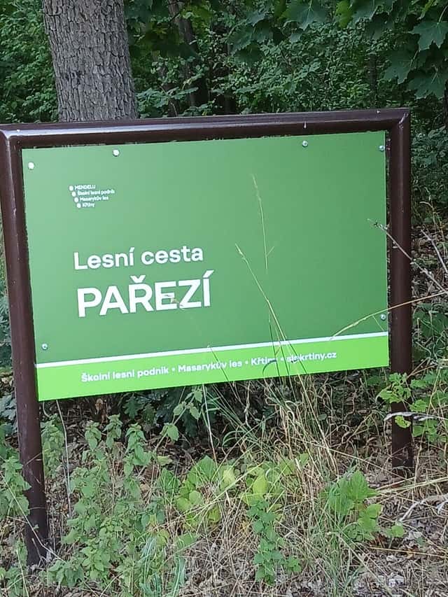 Pronajem zahrady oblast Pařezí, od Lesne 2 zastavky busem, okres Brno-město