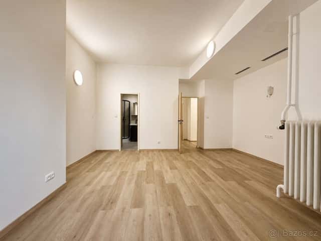 Prodej bytu 1+1, 40 m², Praha 4 Nusle, Po rekonstrukci, Praha 4