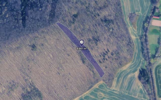 Prodej lesa 0,89 ha, 272 m³ dřeva, dub zimní + borovice – Lo, Brno venkov, okres Brno-venkov