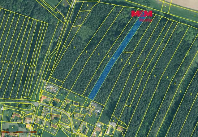 Prodej lesa, 5161 m², Dražíč, okres České Budějovice