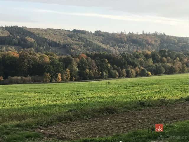 Prodej, pozemky/bydlení, 1395 m2, Čavisov, Ostrava-město [ID, okres Ostrava-město