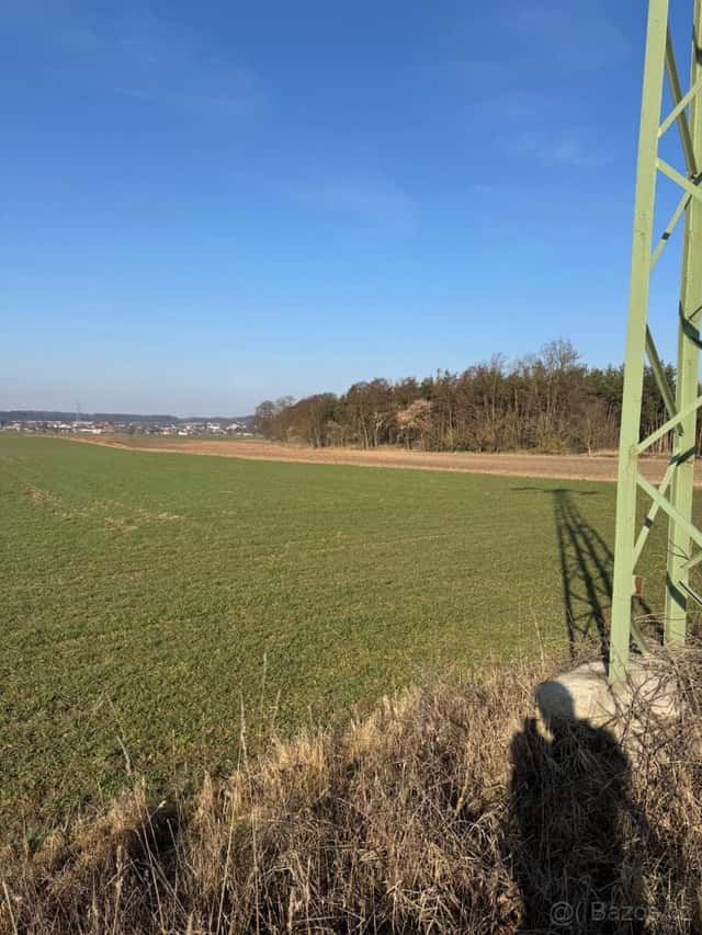 Prodej lesních pozemků k.ú. Sojovice, okres Mladá Boleslav