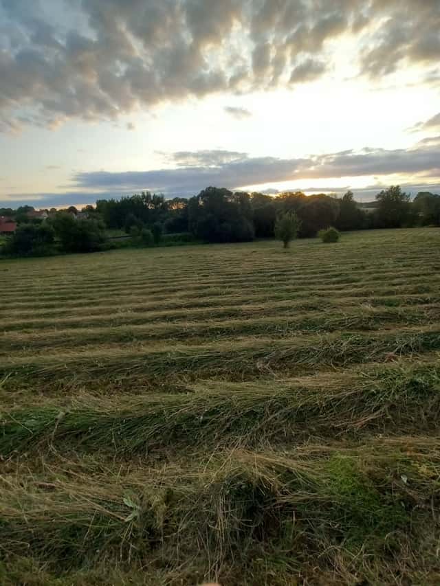 Pronájem pole, okres Šumperk