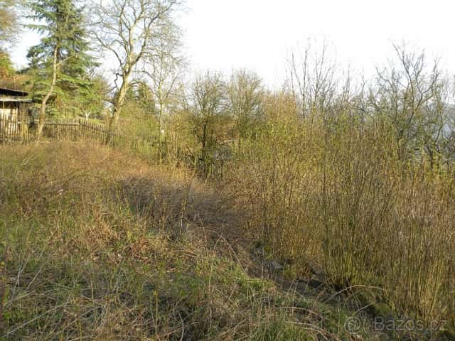 Zahrada v Doběticích, okres Ústí nad Labem