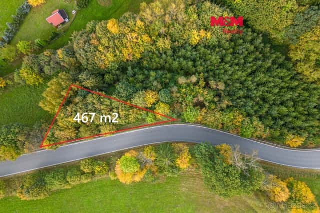 Prodej lesa, 467 m², Kosov, okres Šumperk