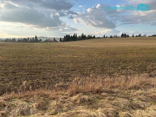 Prodej, pozemek, 10 000 m2, Tachov, okres Tachov