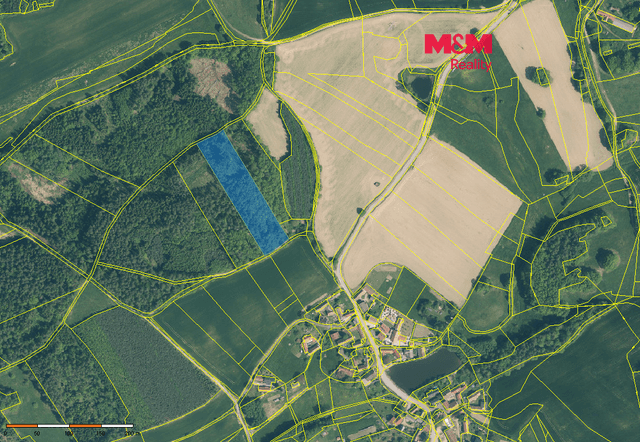 Prodej lesa, 9634 m², Hrazany, okres Písek
