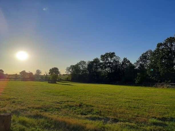 Louka k posečení zdarma Mladá Boleslav, okres Mladá Boleslav
