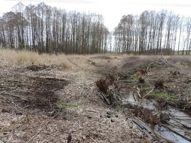 Luhov u Mimoně 256/3, okres Česká Lípa