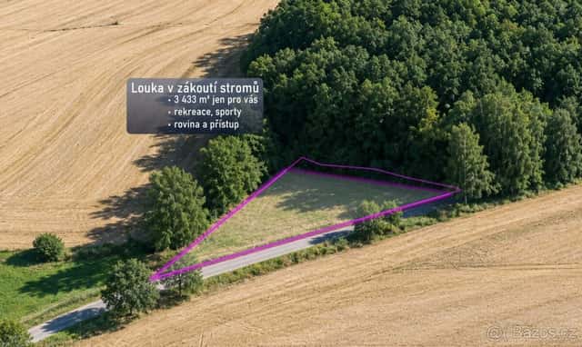 Louka, prodej, Přívrat, Ústí nad Orlicí, okres Ústí nad Orlicí