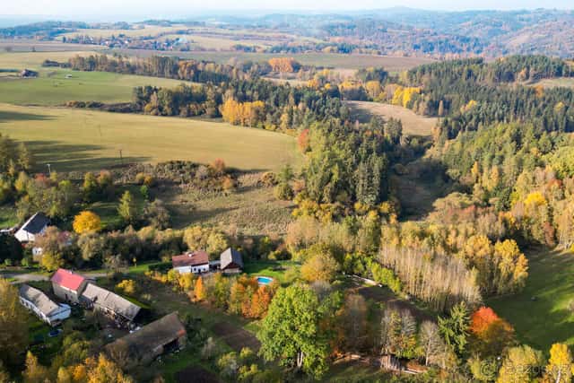 Prodej pozemku 15970 m² Kříženec, okres Tachov