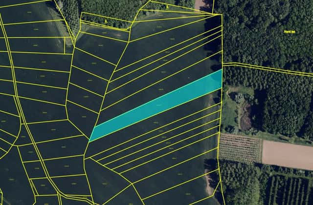 Prodej polí s dobrou bonitou – 4 511m² - Přísnotice,Nosislav, Brno venkov, okres Brno-venkov