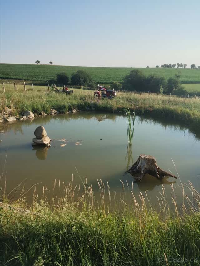 Pronájem zahrady, okres Benešov